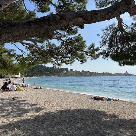 Diana Makarska